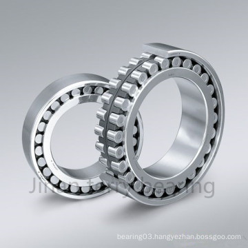 Self-Aligning Bearing Spherical Roller Bearing (22206CC/WW33)